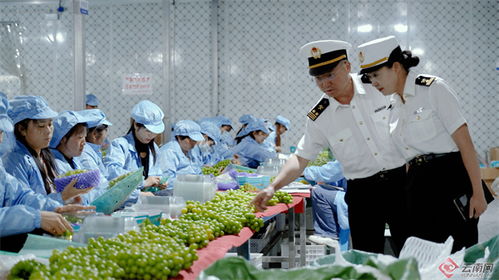 大理州2023年外貿(mào)進(jìn)出口總值大幅增長(zhǎng)78.8%，農(nóng)產(chǎn)品出口表現(xiàn)亮眼